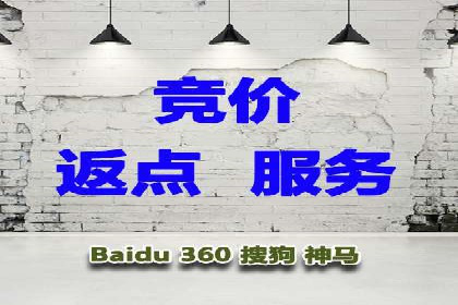 推广竞价策略解析：成功案例分享